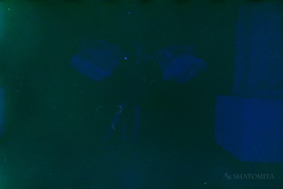 Burnt film used to depict a set of roses.