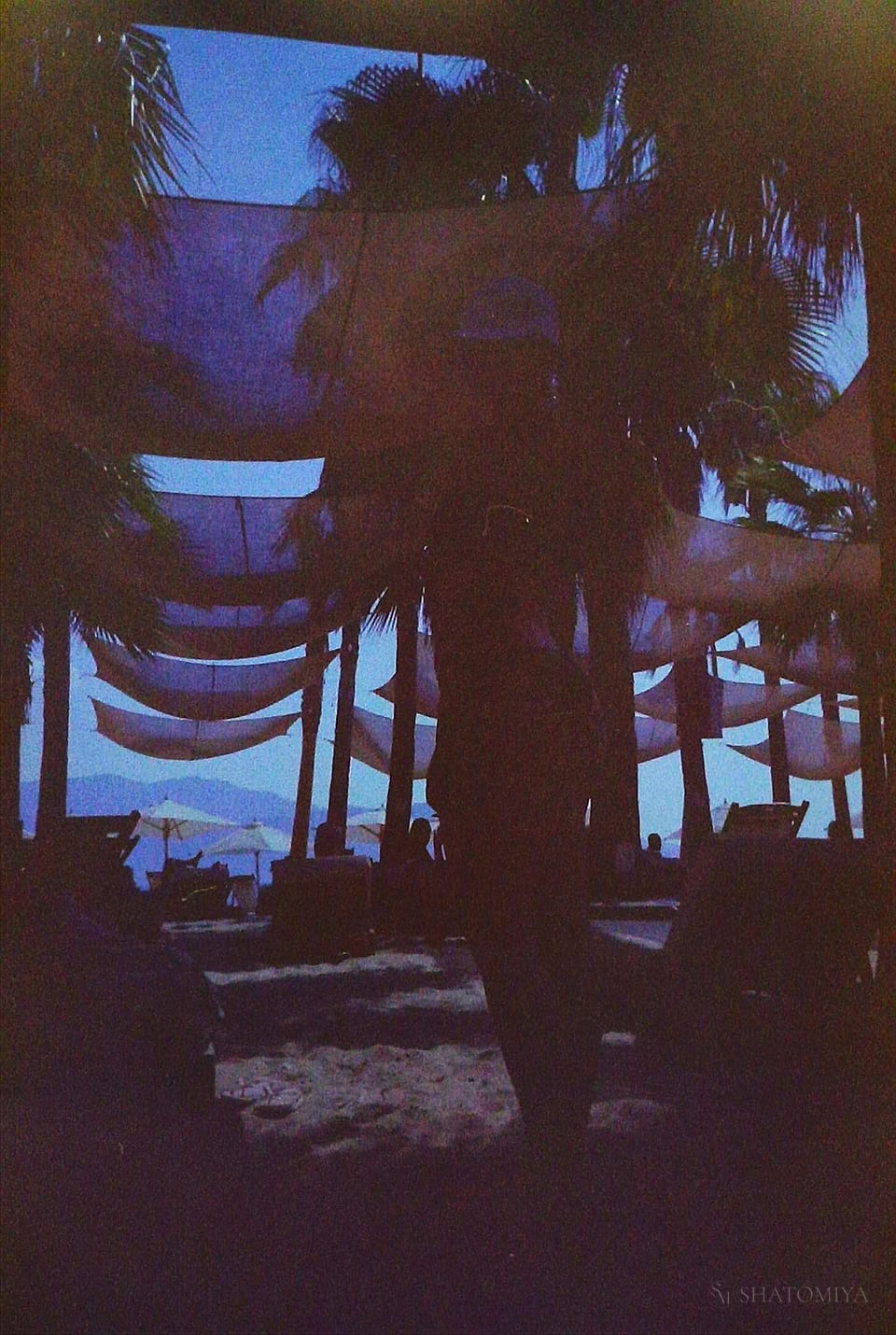 A girl in swimsuit gazing to a landscape of beach, palm trees and sunbeds.