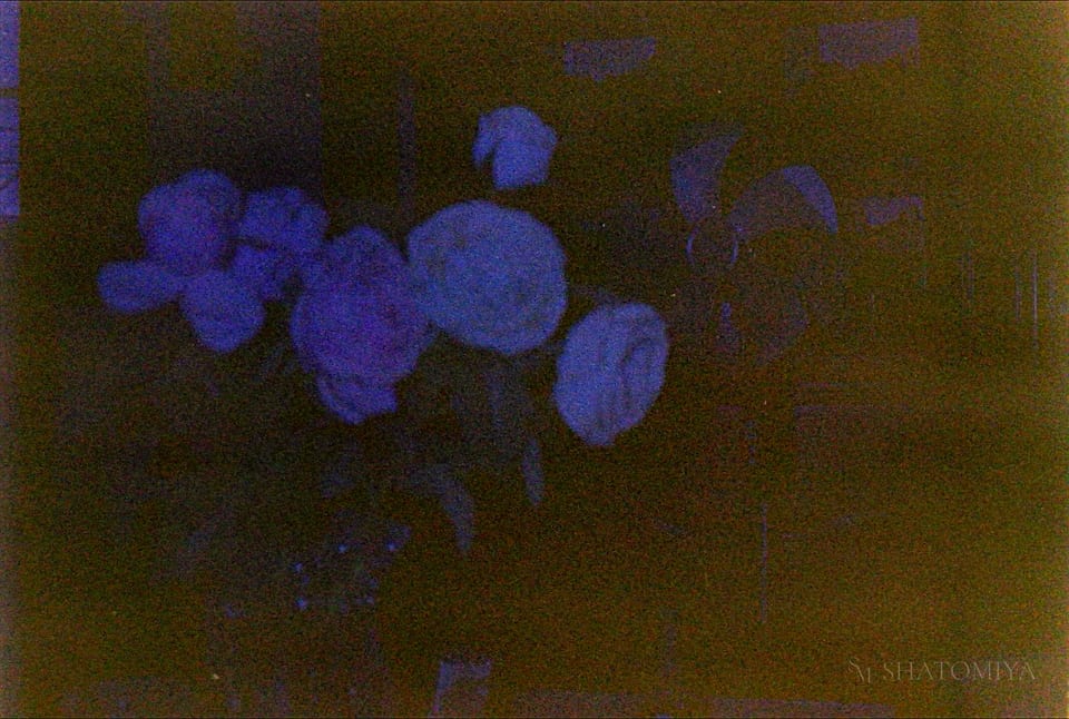 Burnt film used to depict a set of roses.
