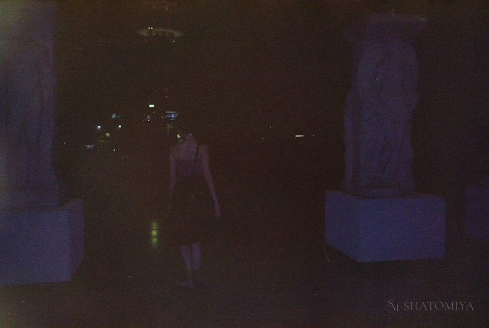 Female figure facing the other way, walking in between two statues, while the city lights glow in the background.