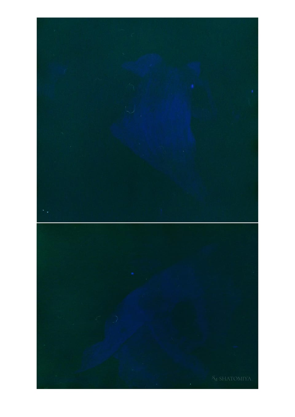 Collage of two photos, white fabrics waved in the wind.